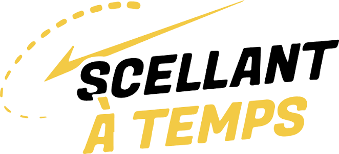 Logo Scellant à temps